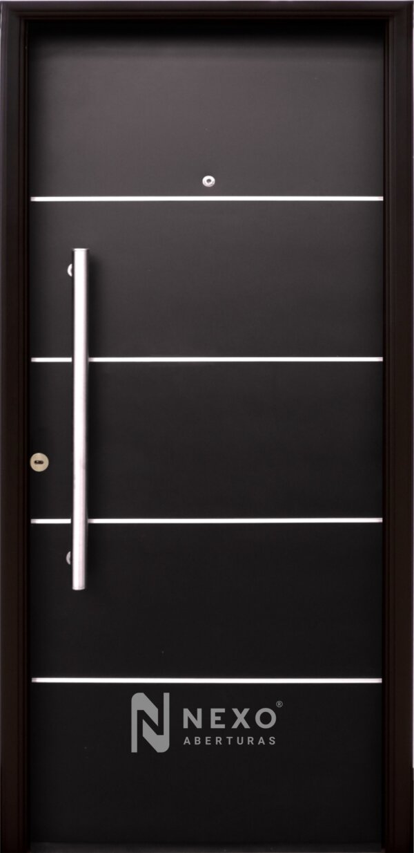 Puerta Lisa con Detalles de Aluminio NEXO Galva