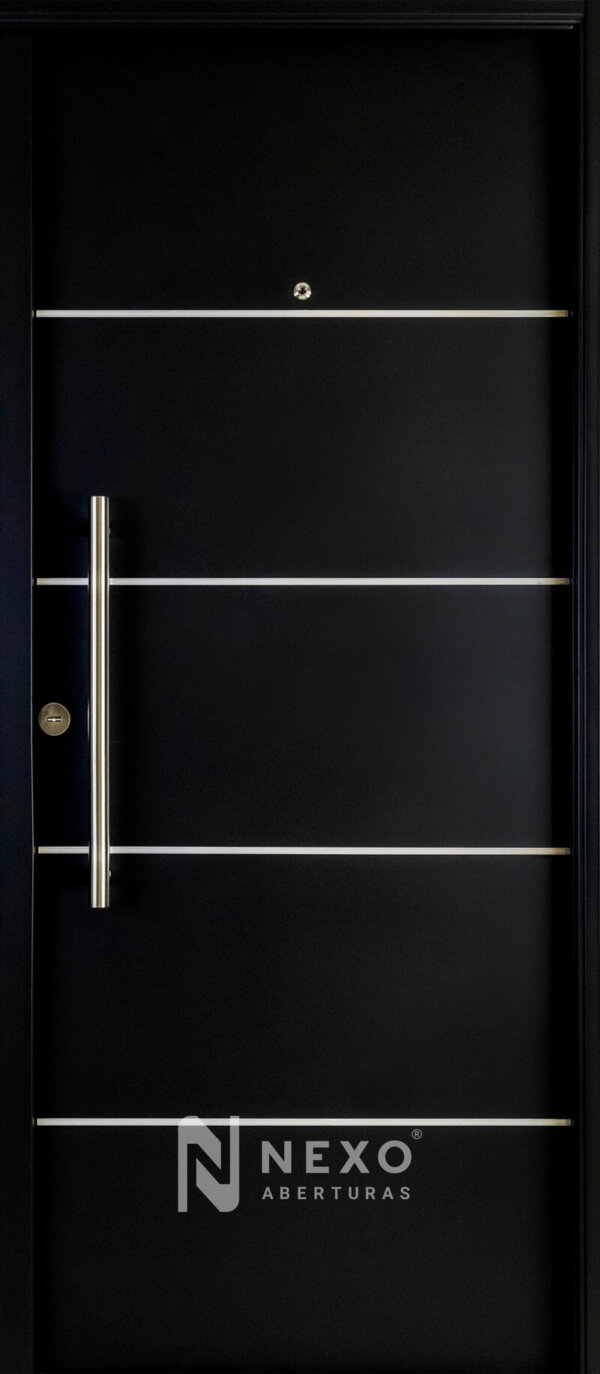Puerta Lisa con Detalles NEXO Premium + - Image 2